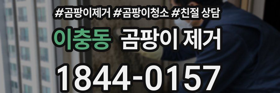 이충동 곰팡이 제거