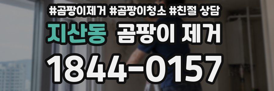 지산동 곰팡이 제거