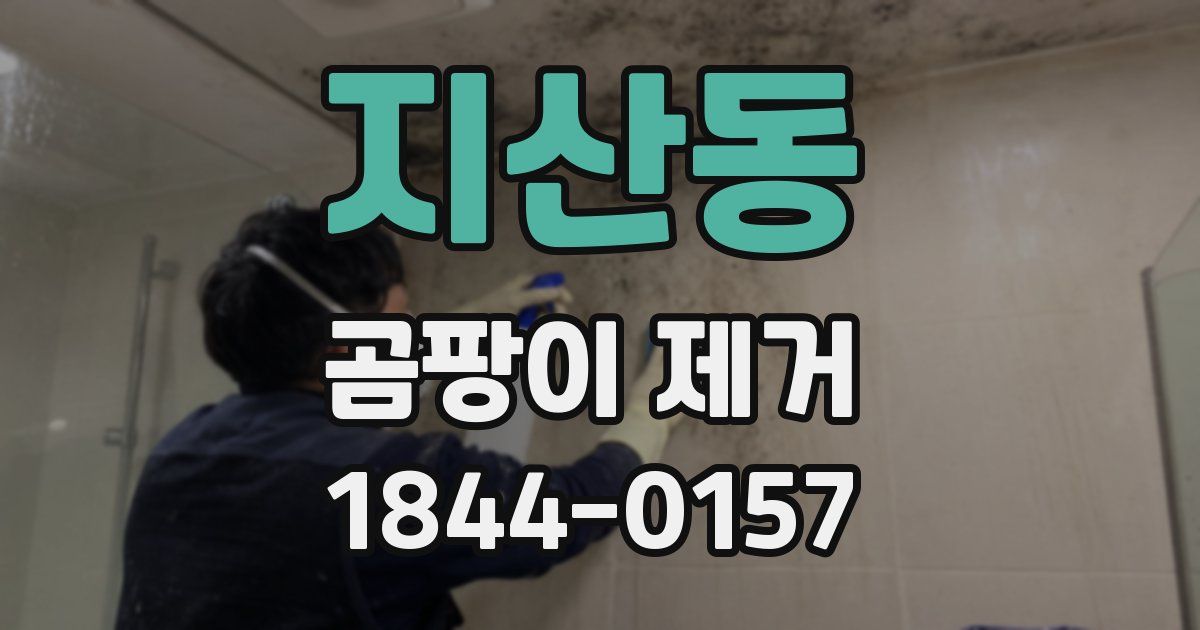 지산동 곰팡이 제거