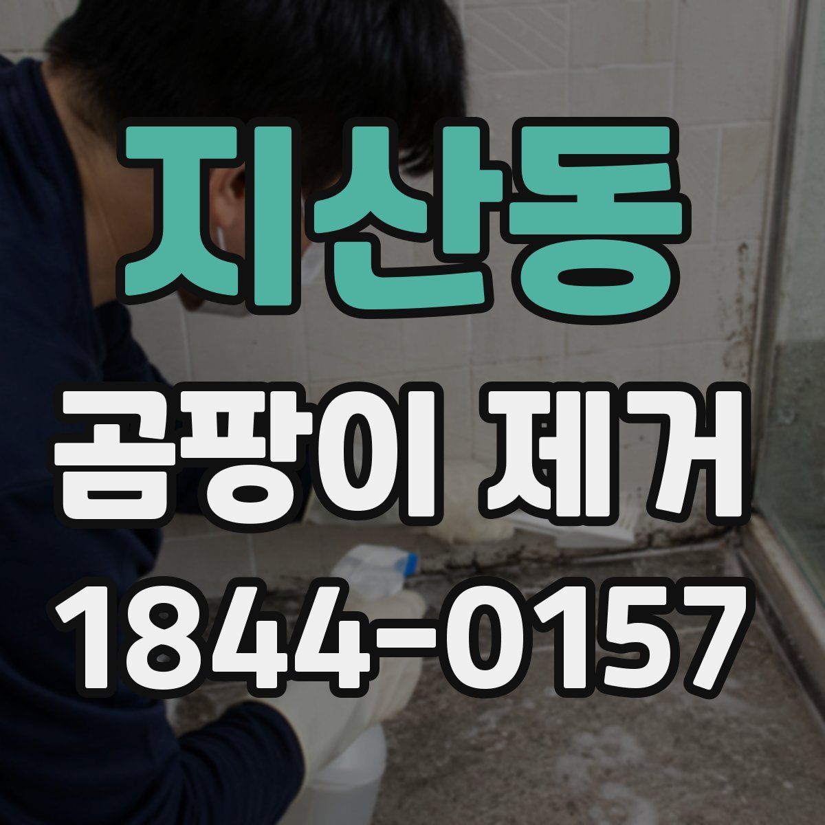 지산동 곰팡이 제거