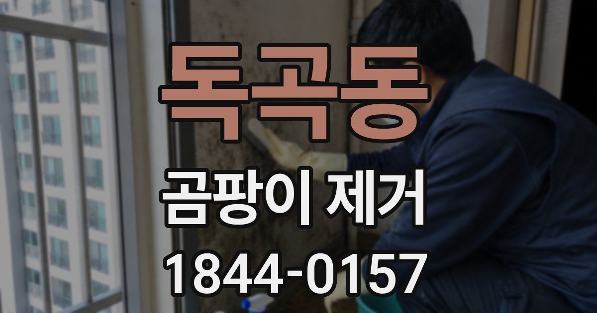독곡동 곰팡이 제거