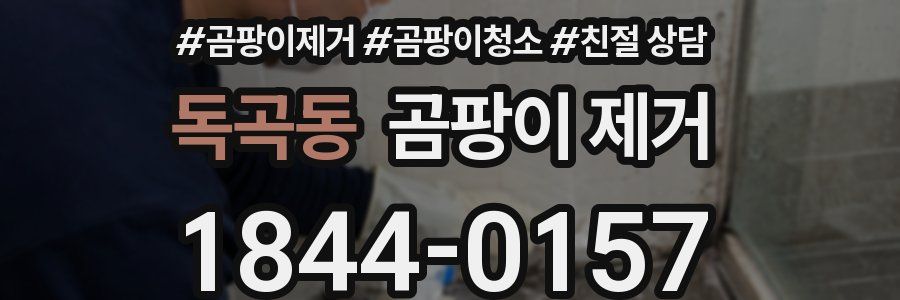 독곡동 곰팡이 제거