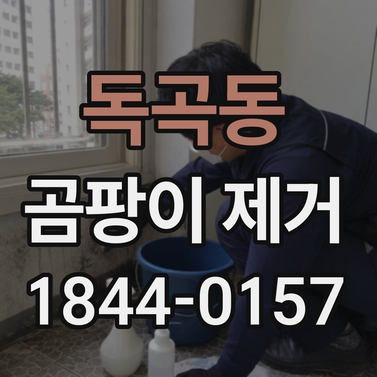 독곡동 곰팡이 제거
