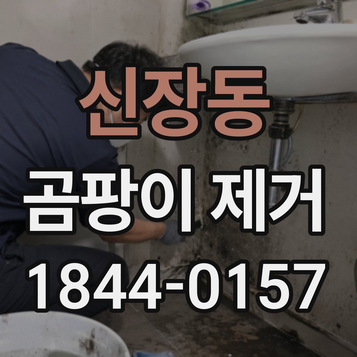 신장동 곰팡이 제거