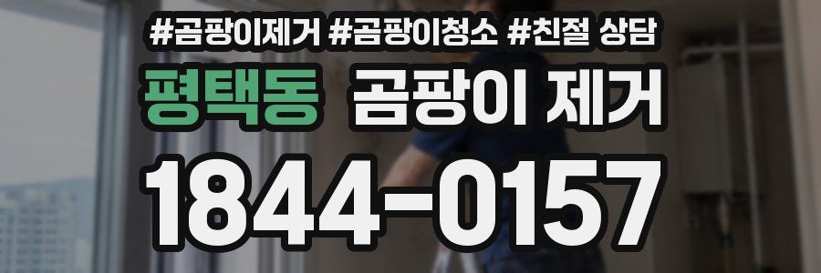 평택동 곰팡이 제거