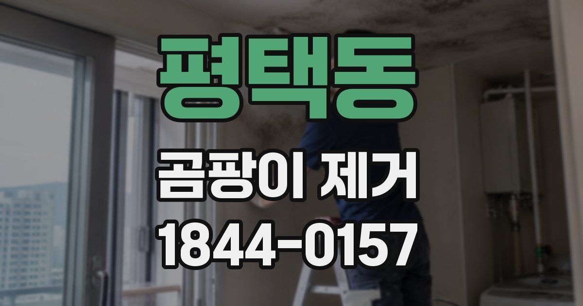 평택동 곰팡이 제거