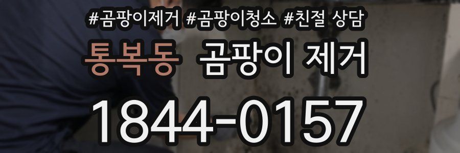 통복동 곰팡이 제거