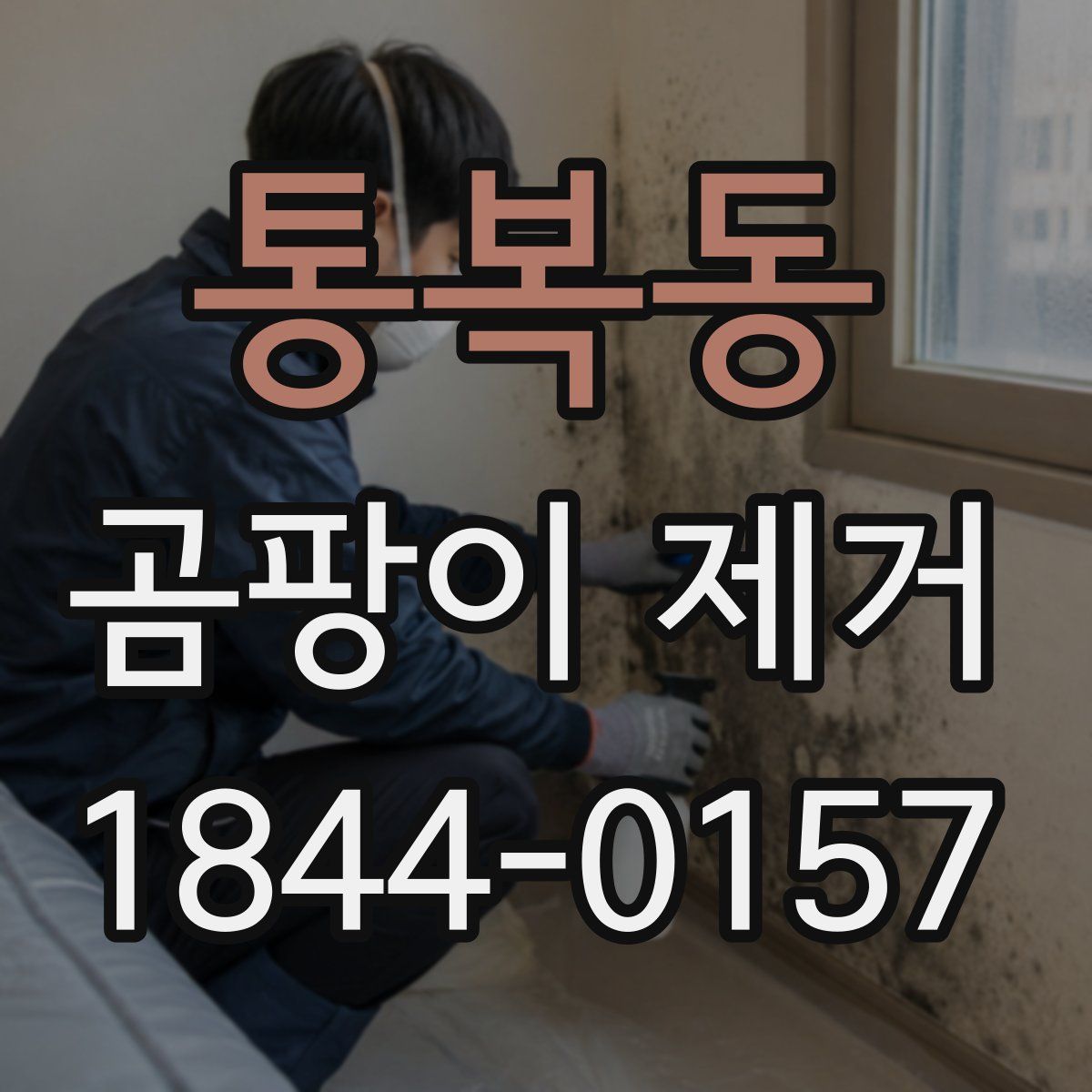 통복동 곰팡이 제거