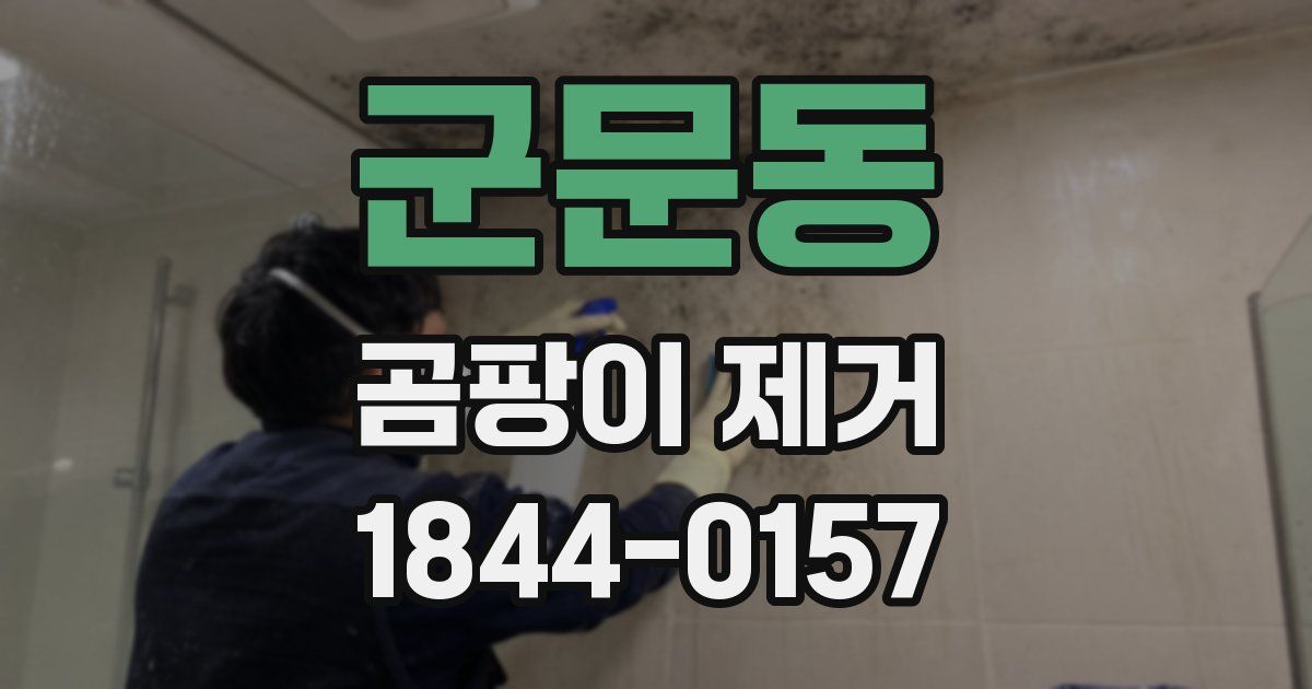 군문동 곰팡이 제거