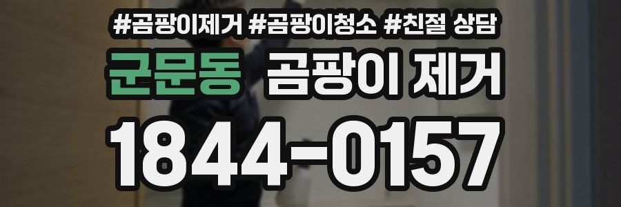 군문동 곰팡이 제거