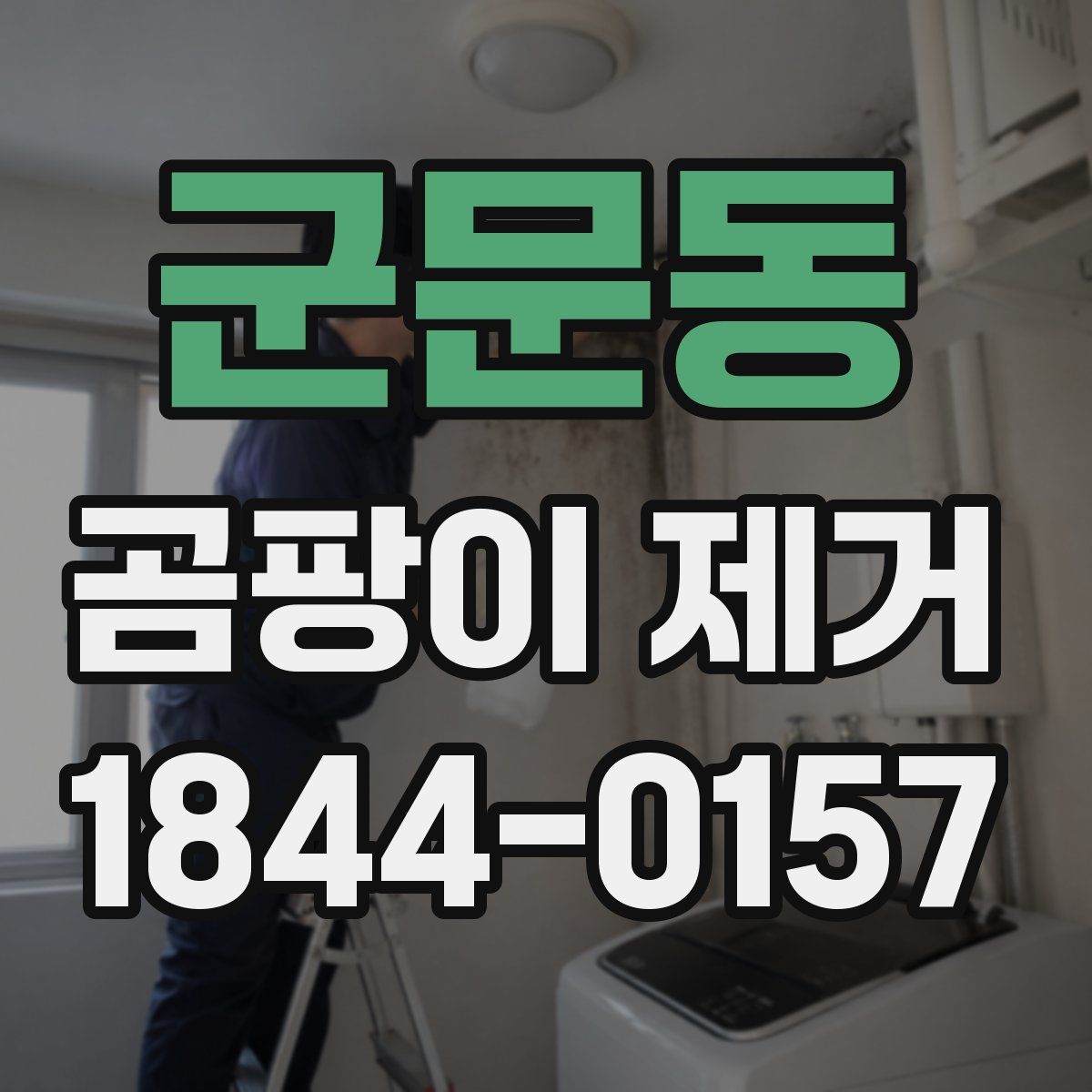 군문동 곰팡이 제거
