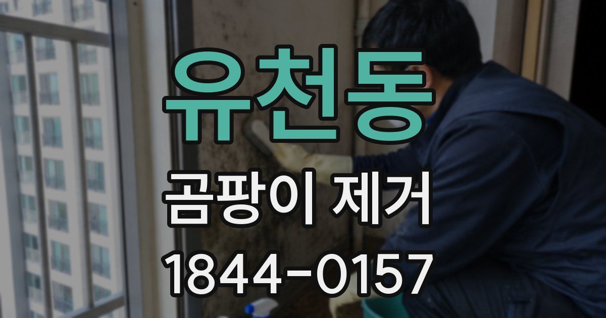 유천동 곰팡이 제거