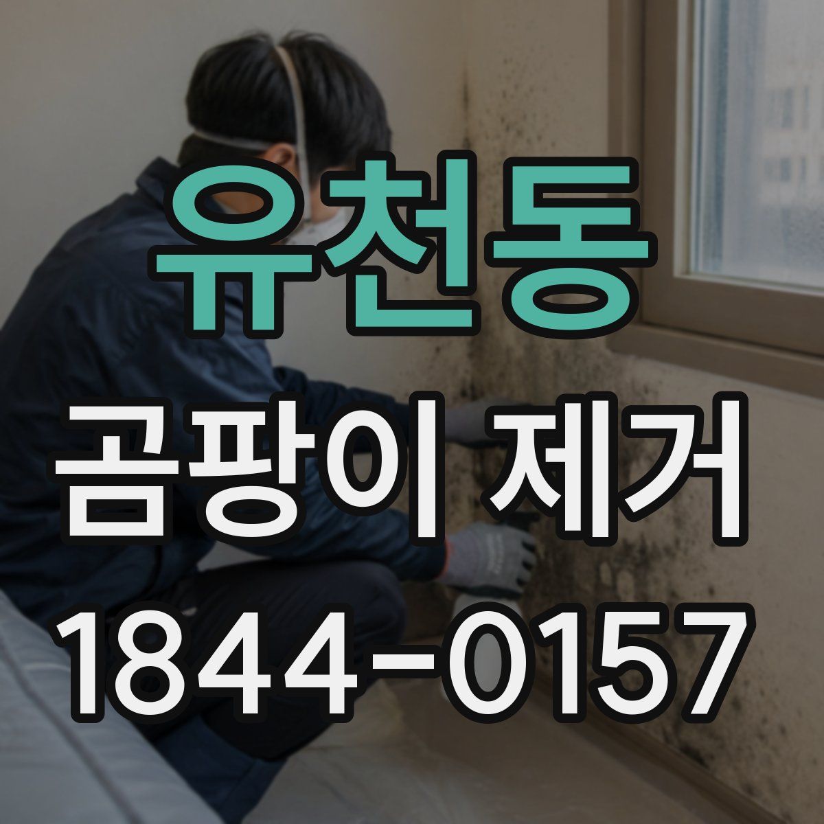 유천동 곰팡이 제거
