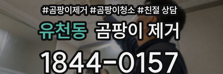 유천동 곰팡이 제거