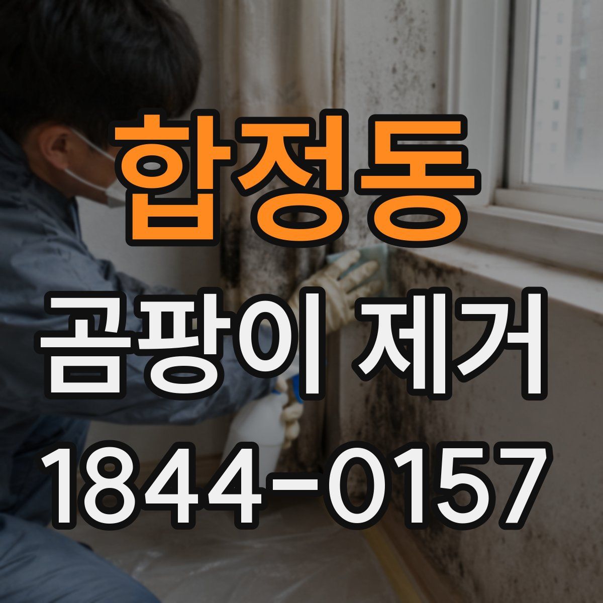합정동 곰팡이 제거