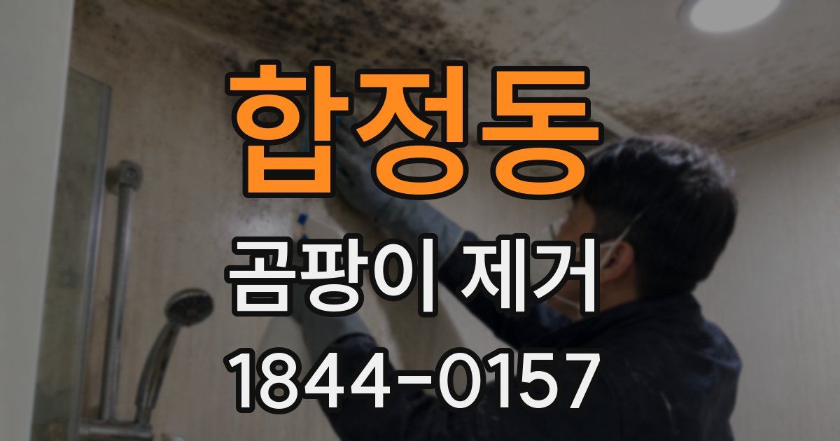 합정동 곰팡이 제거