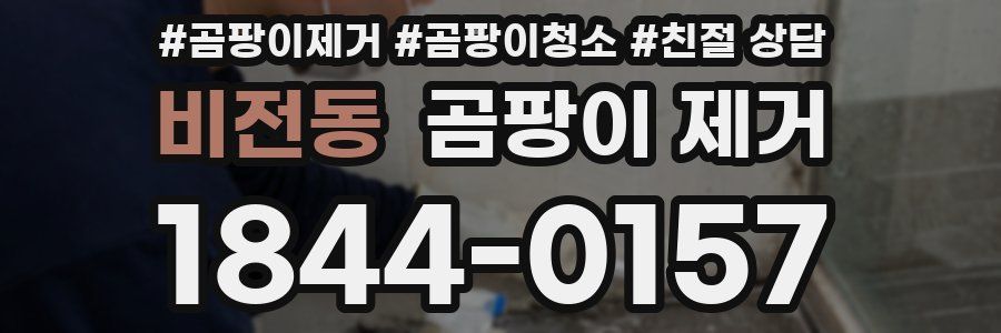 비전동 곰팡이 제거