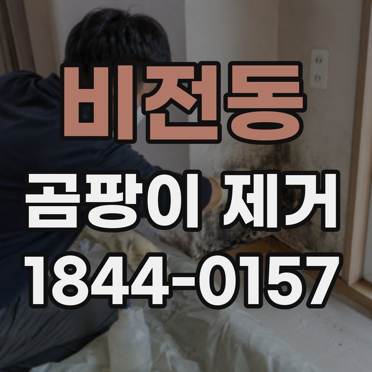 비전동 곰팡이 제거
