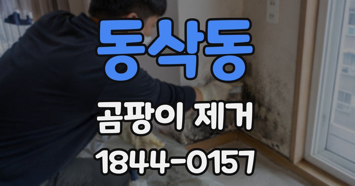 동삭동 곰팡이 제거