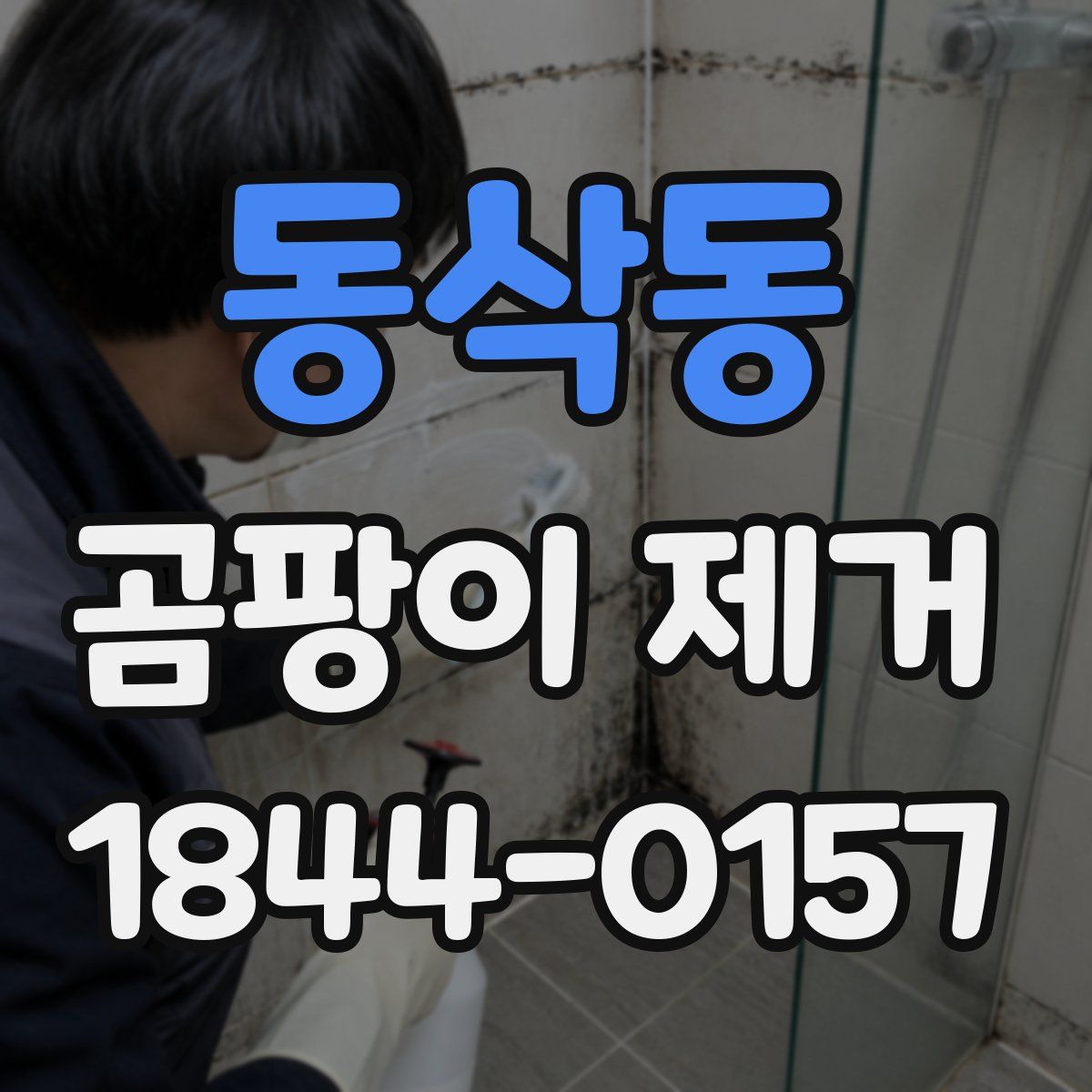 동삭동 곰팡이 제거