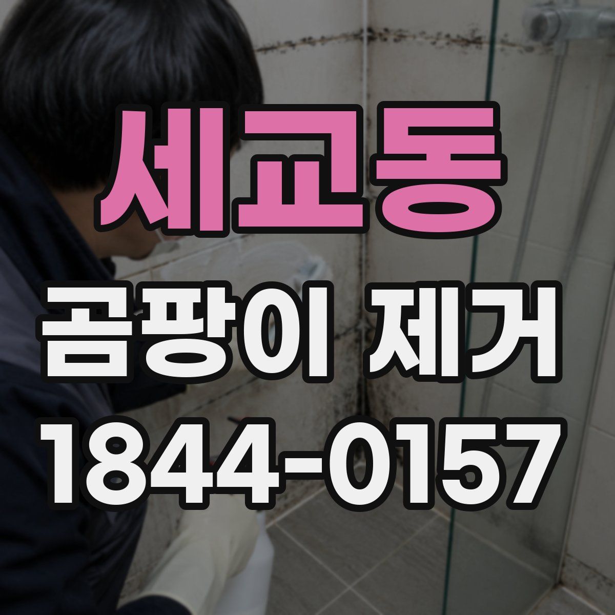 세교동 곰팡이 제거