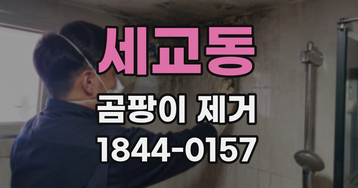 세교동 곰팡이 제거