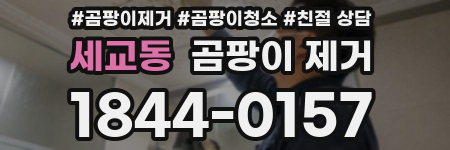 세교동 곰팡이 제거