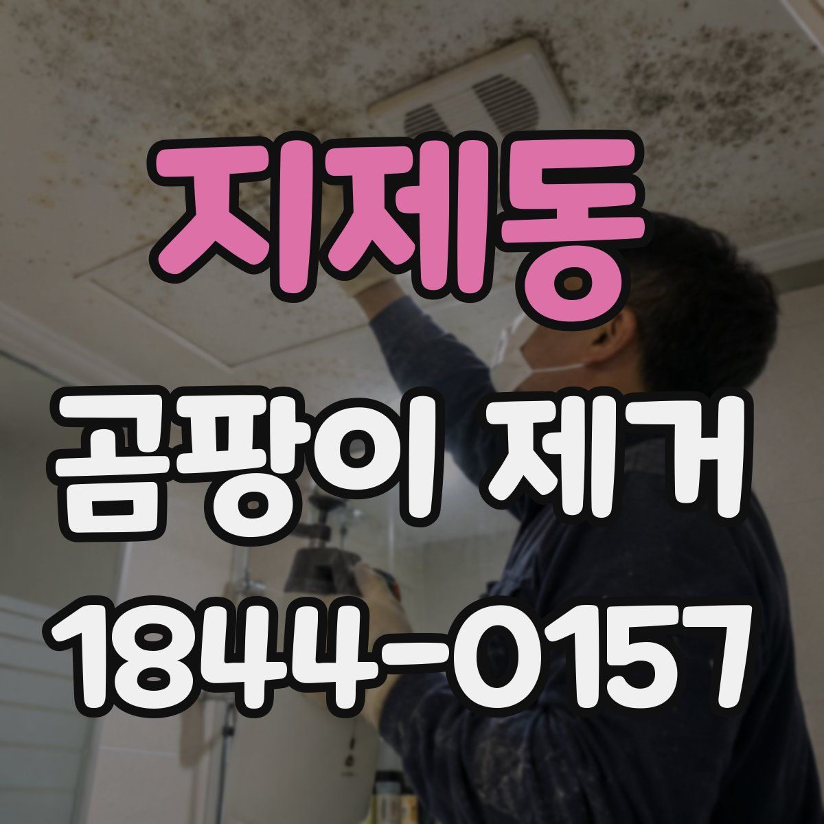 지제동 곰팡이 제거