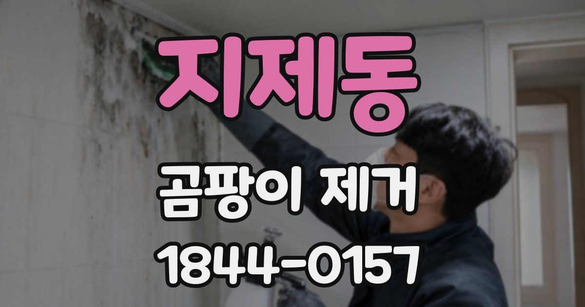 지제동 곰팡이 제거
