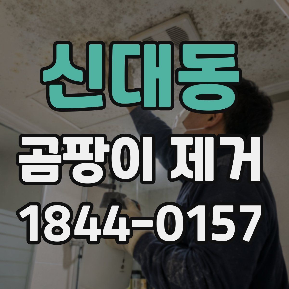신대동 곰팡이 제거 약품별 사용 주의사항 정리