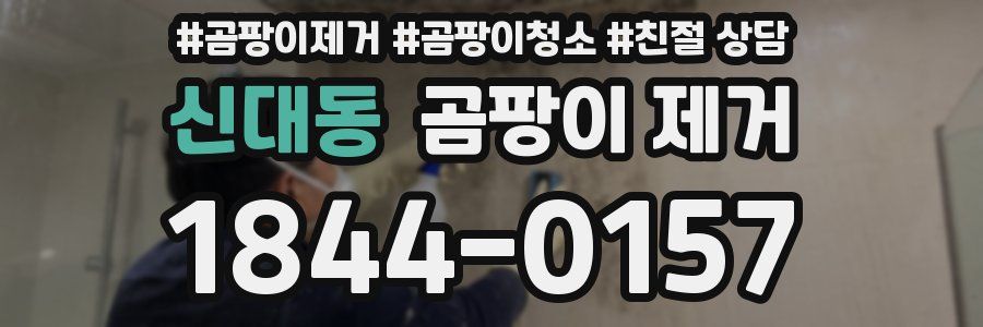 신대동 곰팡이 제거