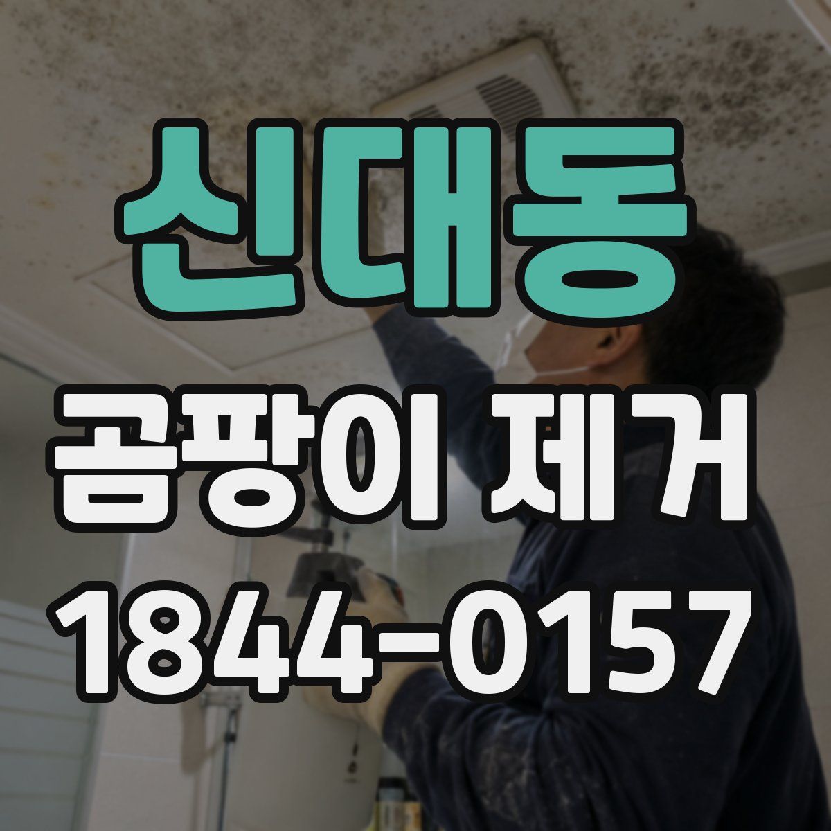 신대동 곰팡이 제거