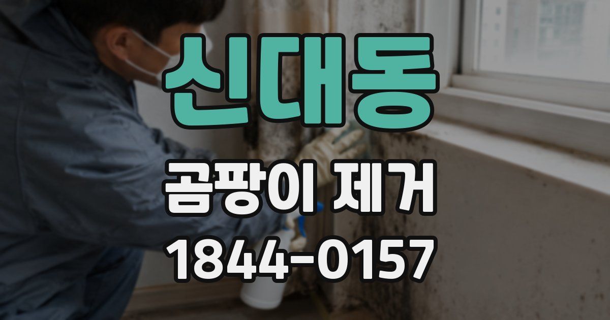 신대동 곰팡이 제거