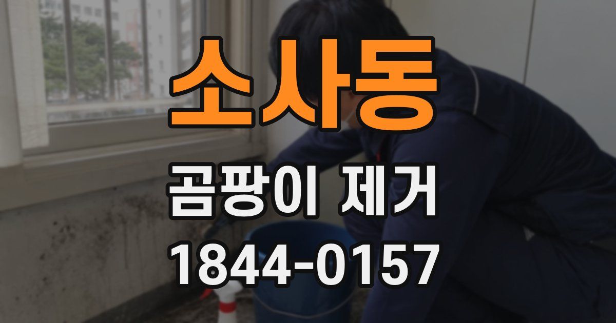 소사동 곰팡이 제거
