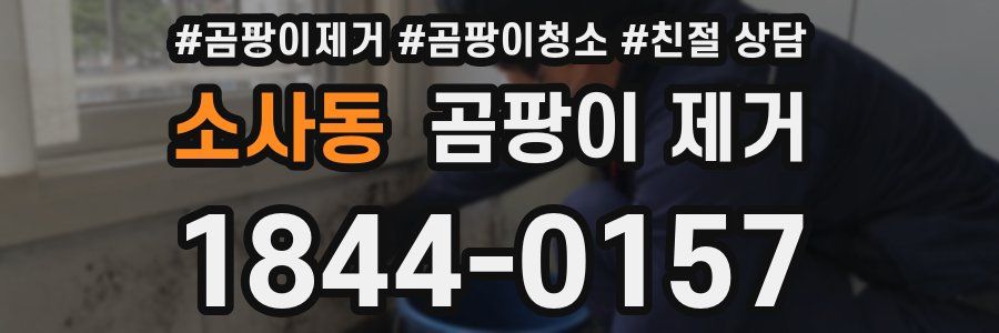 소사동 곰팡이 제거