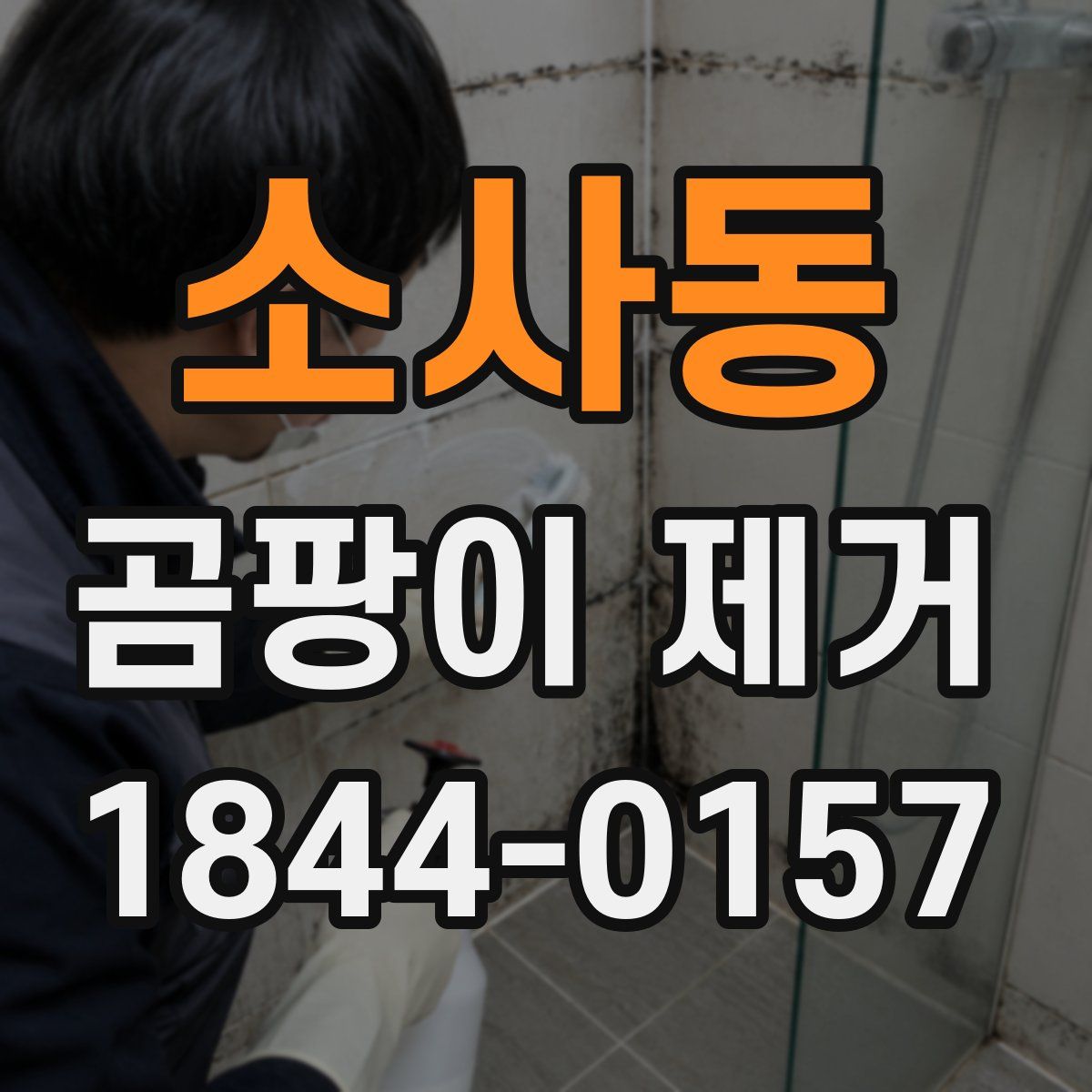 소사동 곰팡이 제거