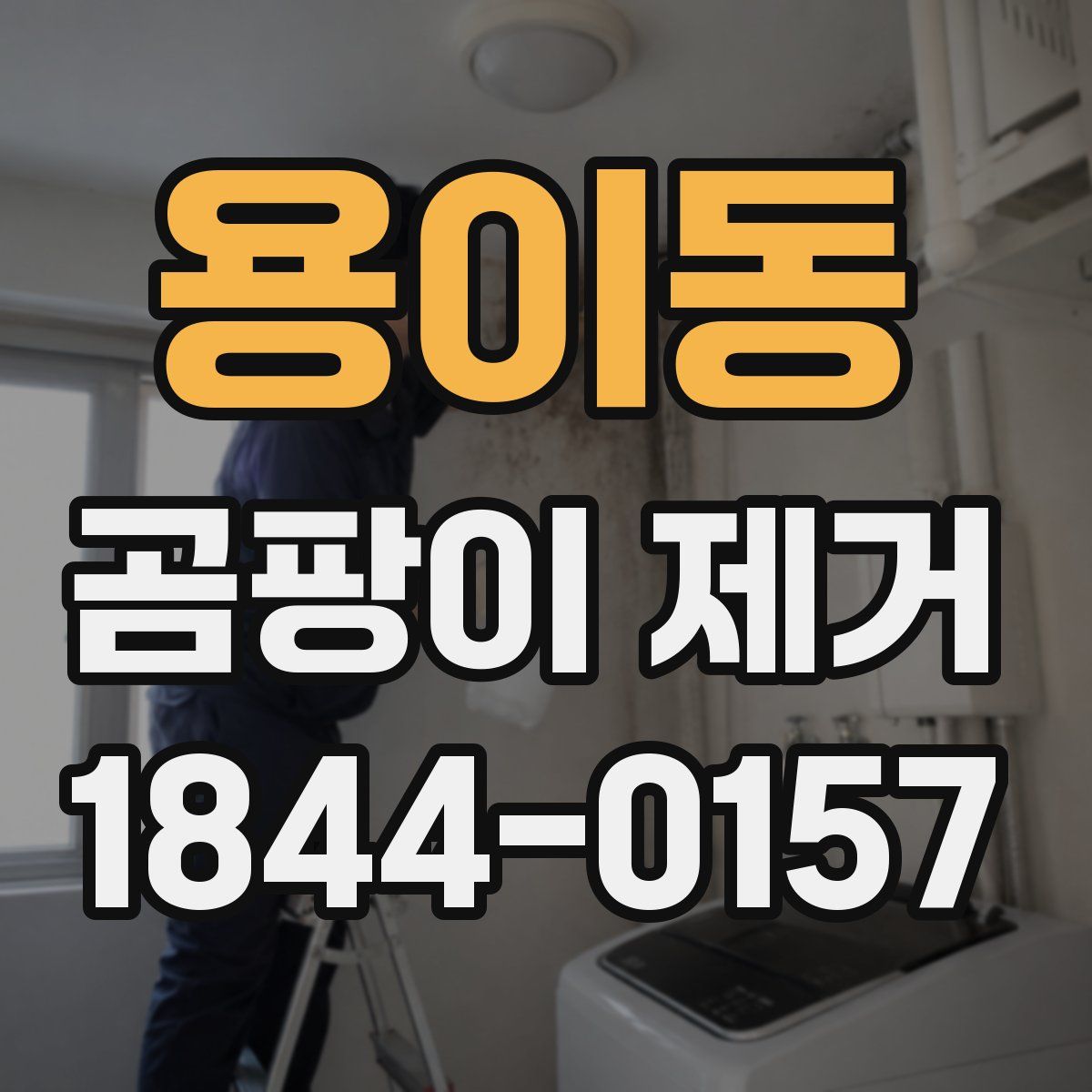 용이동 곰팡이 제거