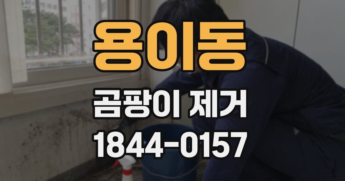 용이동 곰팡이 제거