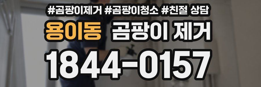 용이동 곰팡이 제거