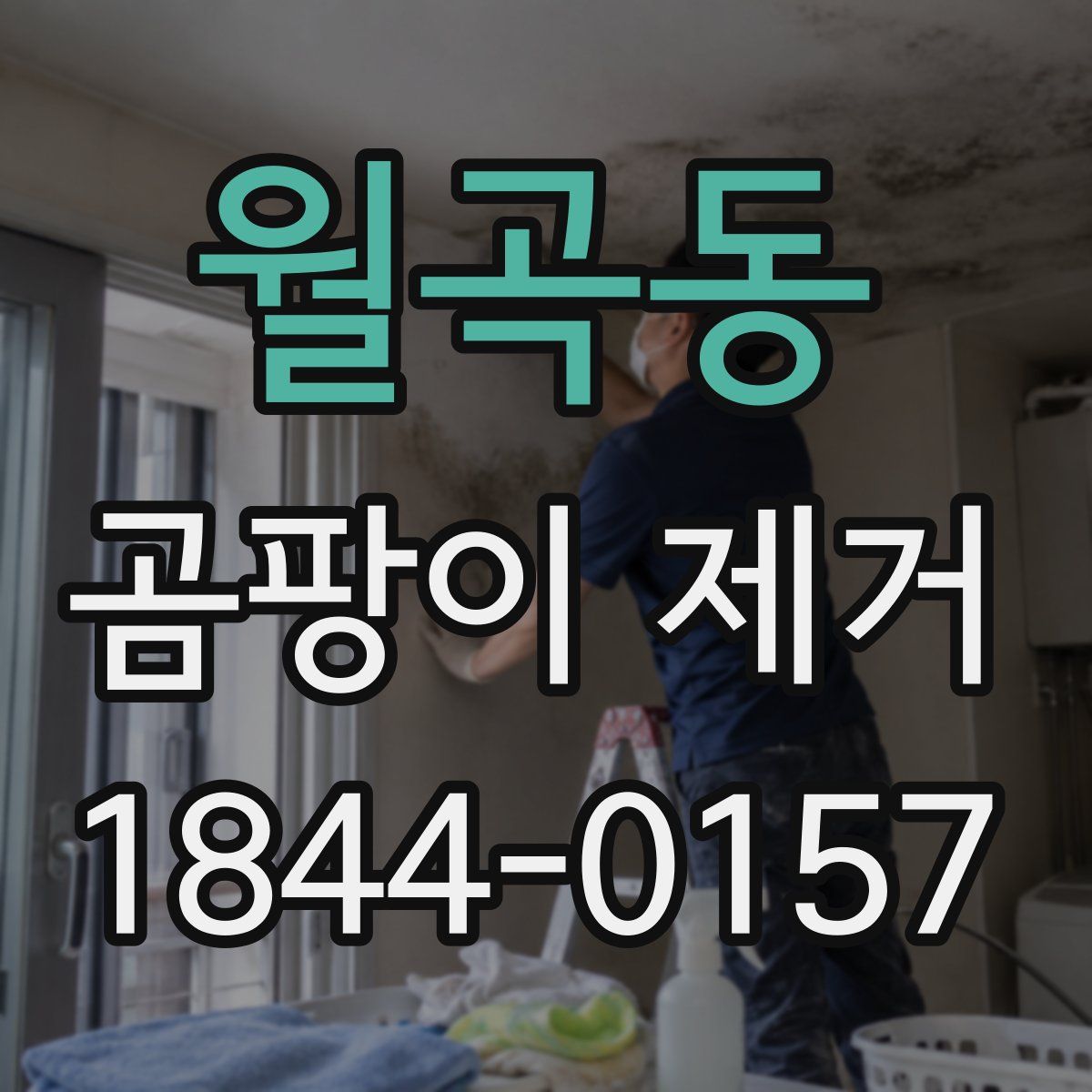 월곡동 곰팡이 제거