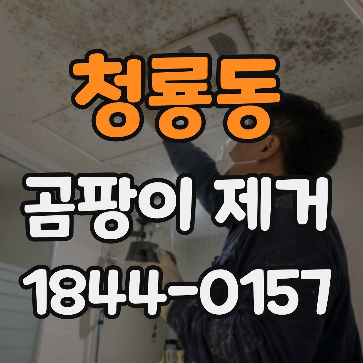 청룡동 곰팡이 제거