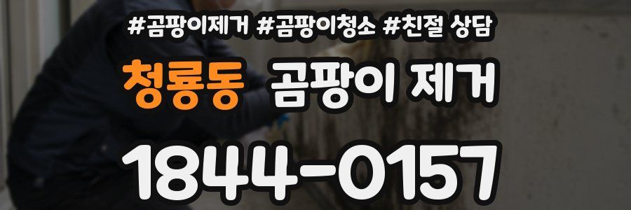 청룡동 곰팡이 제거