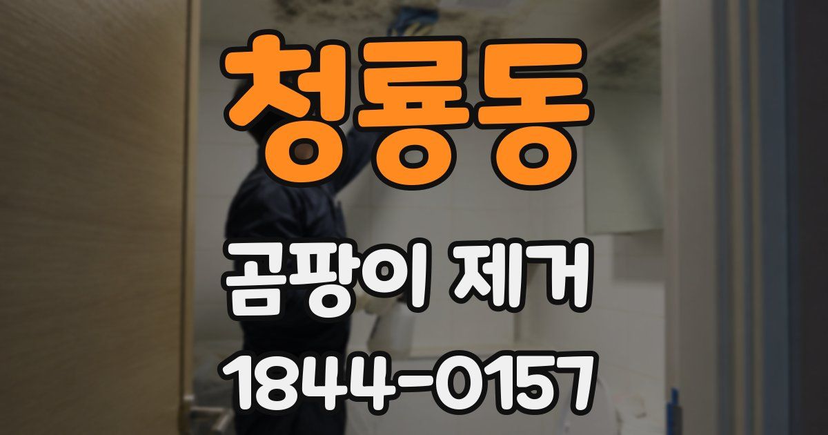 청룡동 곰팡이 제거