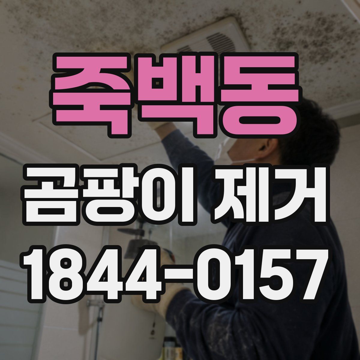 죽백동 곰팡이 제거