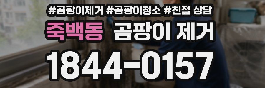 죽백동 곰팡이 제거