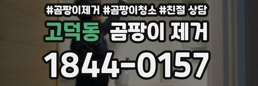 고덕동 곰팡이 제거