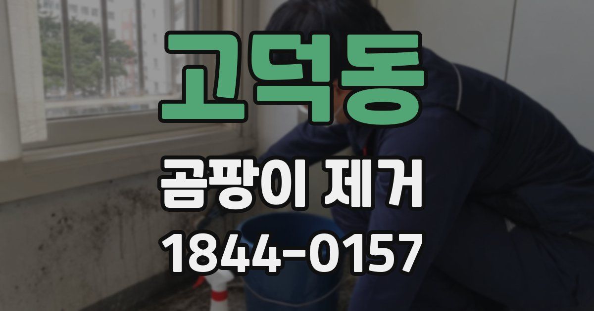 고덕동 곰팡이 제거