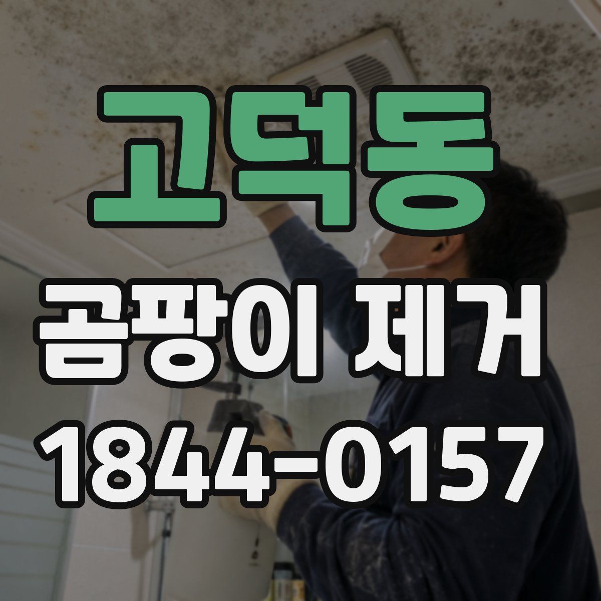 고덕동 곰팡이 제거