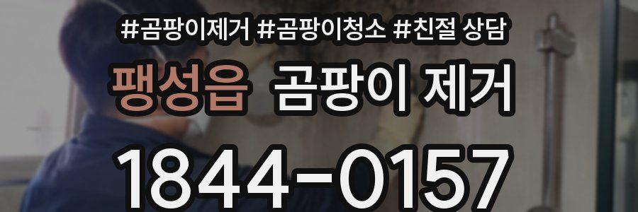 팽성읍 곰팡이 제거