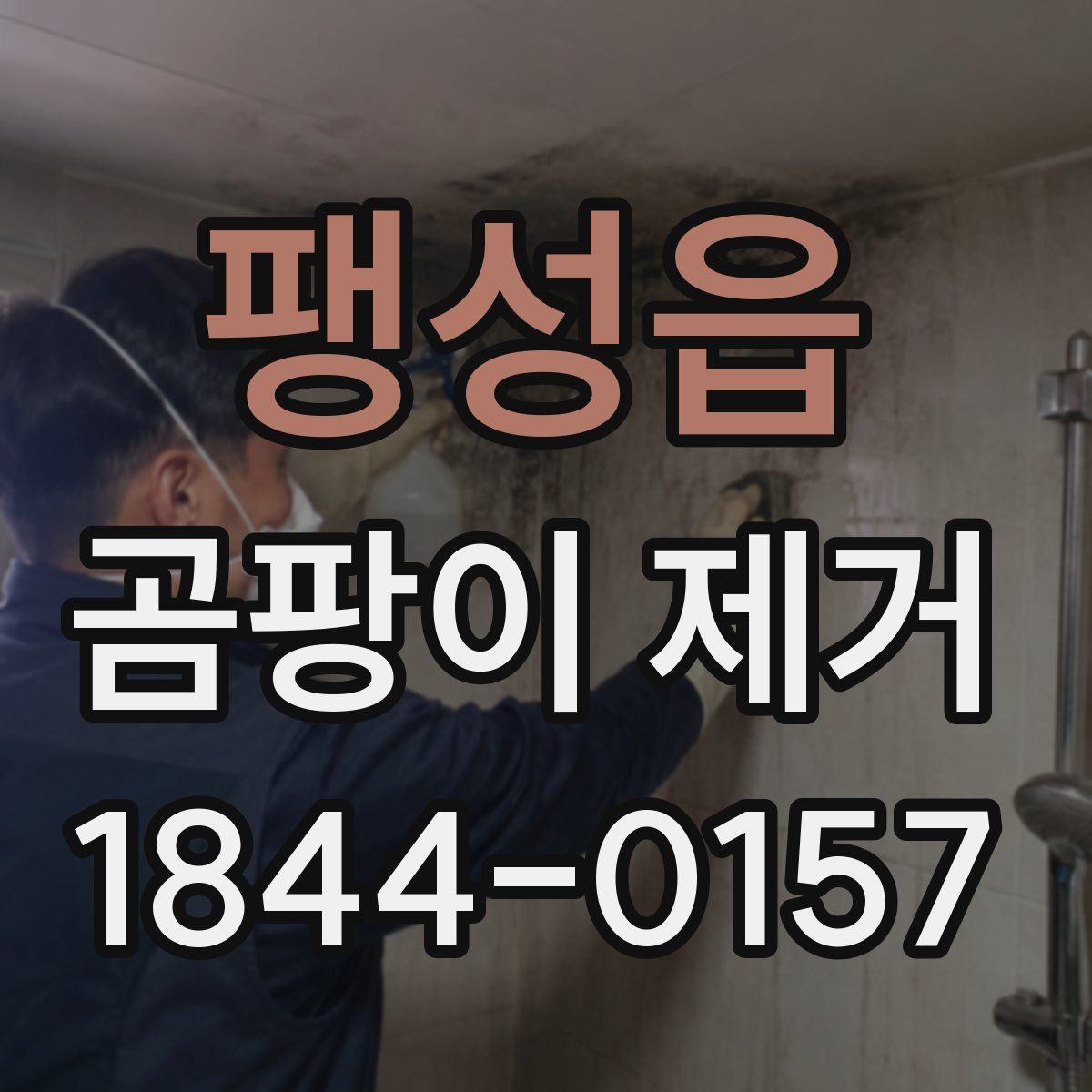 팽성읍 곰팡이 제거